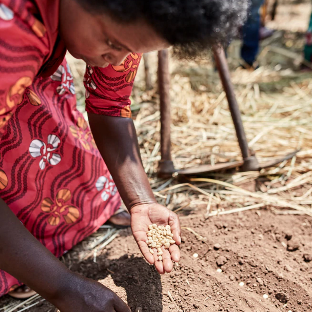 What Does "Rainforest Alliance Certified" Mean?